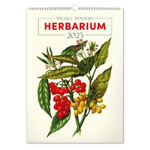 Kalendarz ścienny 2025 Vintage Plakaty - Herbarium